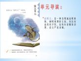 五年级上册语文人教部编版 16.太阳  课件