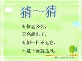 五年级上册语文人教部编版 16.太阳  课件