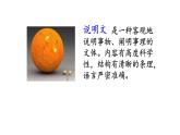 五年级上册语文人教部编版 16.太阳  课件