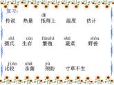 五年级上册语文人教部编版 16.太阳  课件
