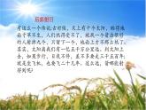 五年级上册语文人教部编版 16.太阳  课件