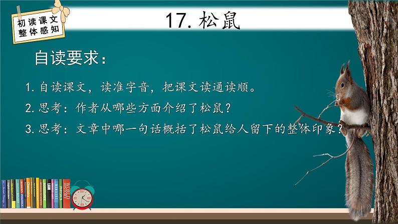 五年级上册语文人教部编版 17.松鼠  课件第5页