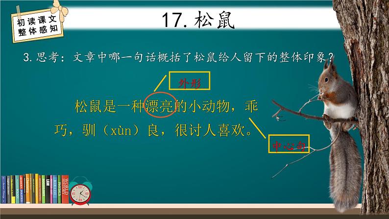 五年级上册语文人教部编版 17.松鼠  课件第8页