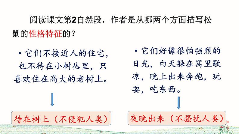 五年级上册语文人教部编版 17.松鼠  课件第7页