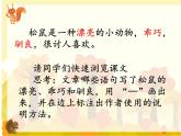五年级上册语文人教部编版 17.松鼠  课件