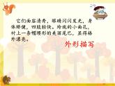 五年级上册语文人教部编版 17.松鼠  课件