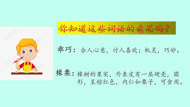 五年级上册语文人教部编版 17.松鼠  课件第8页