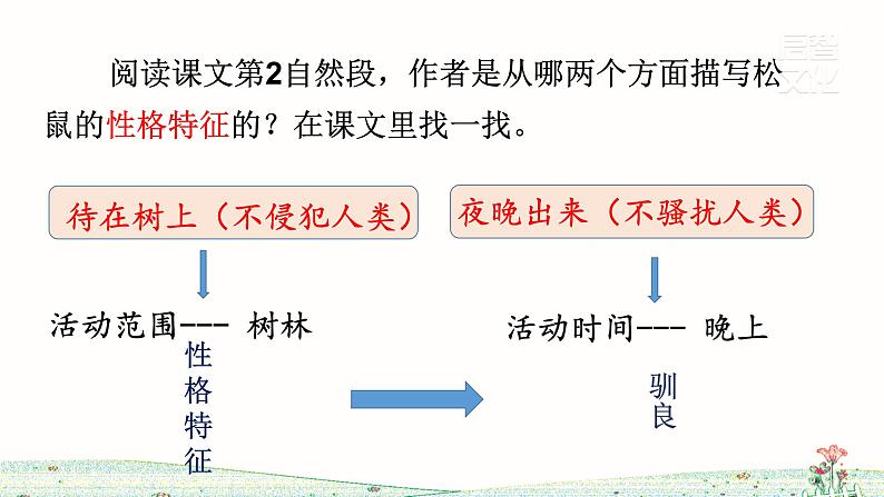 五年级上册语文人教部编版 17.松鼠  课件第8页