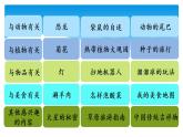 五年级上册语文人教部编版 习作：介绍一种事物  课件