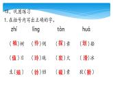 五年级上册语文人教部编版 第五单元复习  课件