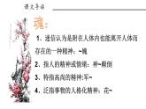 五年级下册 4 梅花魂 课件