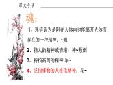 五年级下册 4 梅花魂 课件