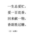 三年级下册14《蜜蜂》课件