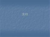 三年级下册14《蜜蜂》课件