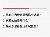 三年级下册14《蜜蜂》课件