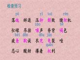 五年级上册语文人教部编版 18.慈母情深  课件