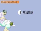 五年级上册语文人教部编版 18.慈母情深  课件