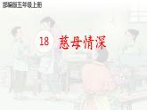五年级上册语文人教部编版 18.慈母情深  课件