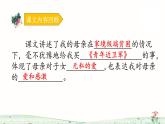 五年级上册语文人教部编版 18.慈母情深  课件