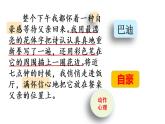 五年级上册语文人教部编版 20.“精彩极了”和“糟糕透了”  课件