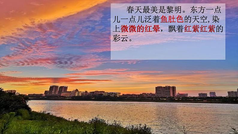 五年级上册语文人教部编版 22.四季之美  课件第7页