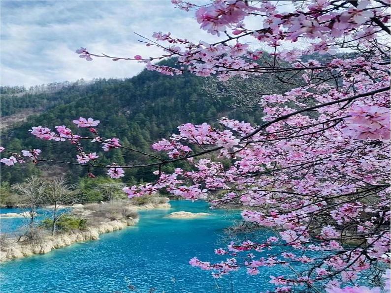 五年级上册语文人教部编版 22.四季之美  课件第2页