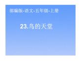 五年级上册语文人教部编版 23.鸟的天堂  课件