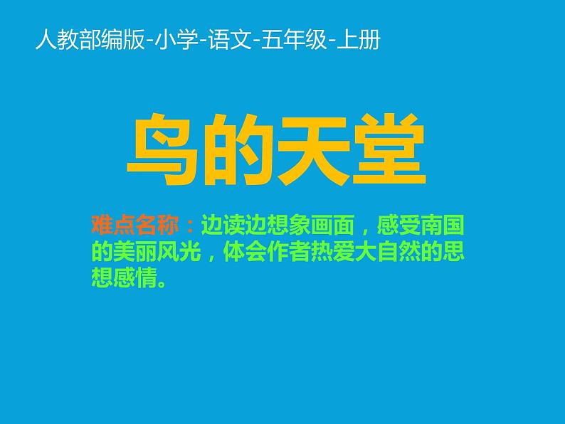 五年级上册语文人教部编版 23.鸟的天堂  课件01