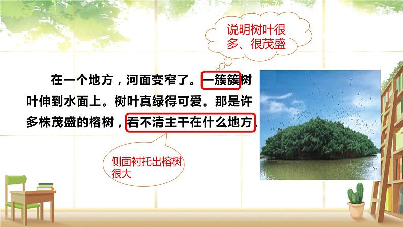 五年级上册语文人教部编版 23.鸟的天堂  课件第4页