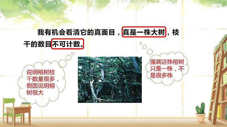 五年级上册语文人教部编版 23.鸟的天堂  课件第6页