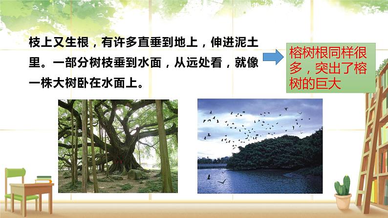 五年级上册语文人教部编版 23.鸟的天堂  课件第7页