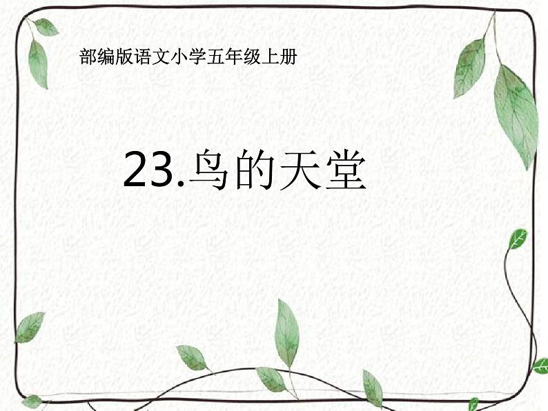 五年级上册语文人教部编版 23.鸟的天堂  课件第1页