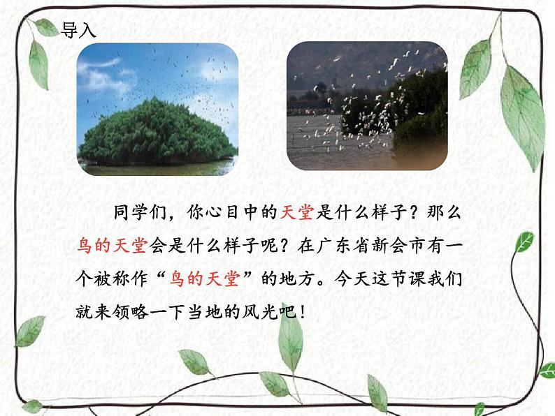 五年级上册语文人教部编版 23.鸟的天堂  课件第2页