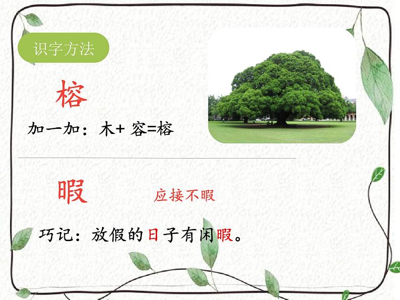 五年级上册语文人教部编版 23.鸟的天堂  课件第5页