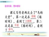 五年级上册语文人教部编版 23.鸟的天堂  课件