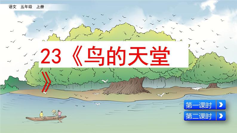 五年级上册语文人教部编版 23.鸟的天堂  课件第1页
