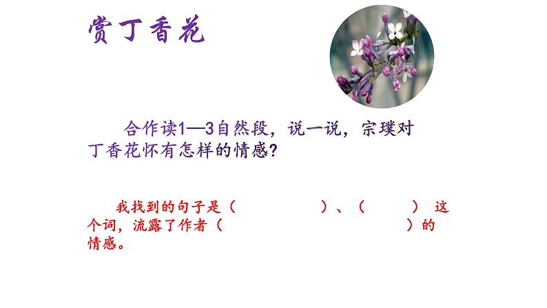 六年级上册语文人教部编版 2.丁香结  课件第4页
