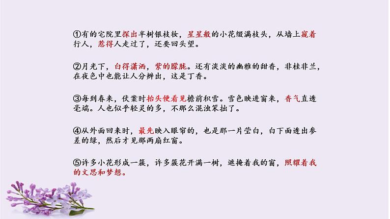 六年级上册语文人教部编版 2.丁香结  课件第5页