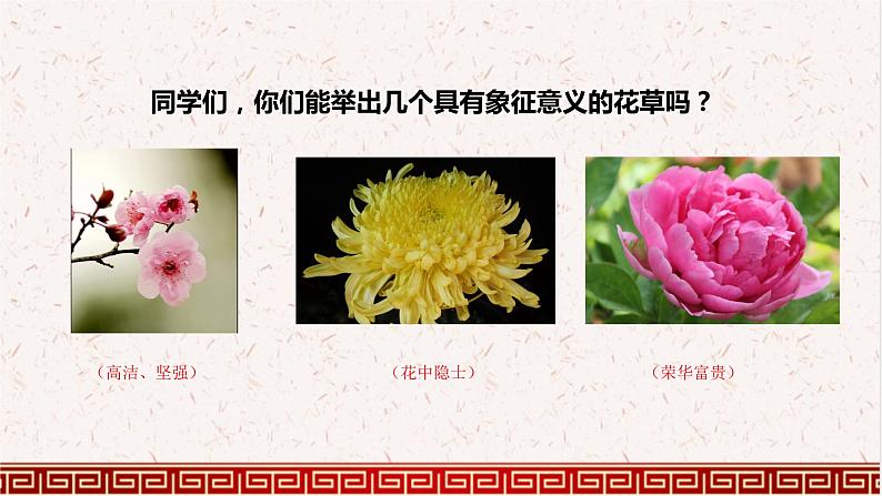 六年级上册语文人教部编版 2.丁香结  课件03