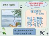 六年级上册语文人教部编版 3.古诗词三首《宿建德江》  课件