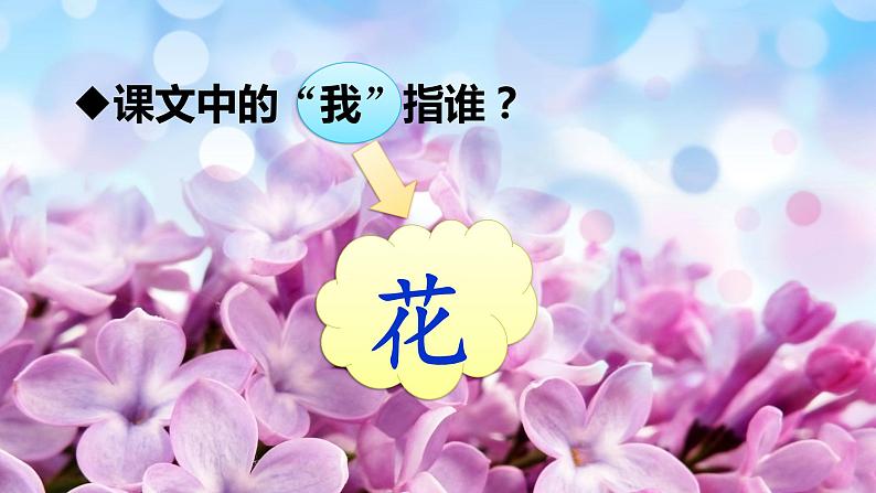 六年级上册语文人教部编版 4.花之歌  课件08