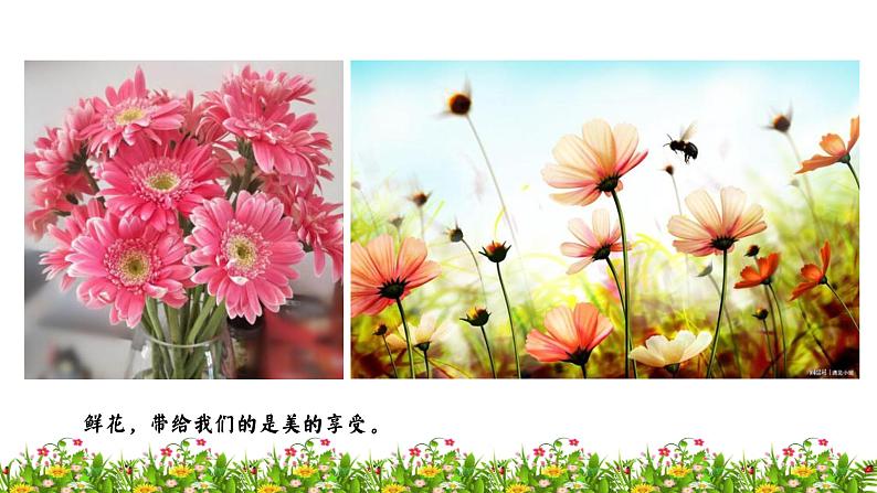 六年级上册语文人教部编版 4.花之歌  课件第3页