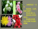 六年级上册语文人教部编版 习作：变形记 课件