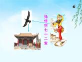 六年级上册语文人教部编版 习作：变形记 课件