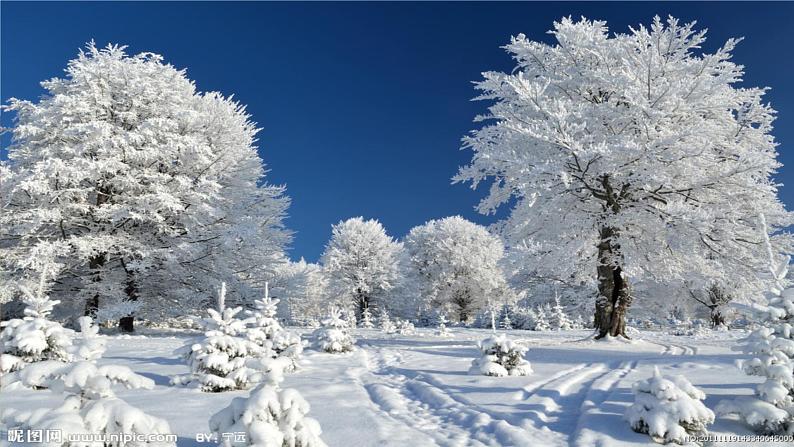 人教版（部编版）小学语文一年级上册 12 雪地里的小画家  课件(7)04