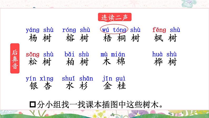 统编6年级语文上册 第二单元  2 树之歌 PPT课件+教案04