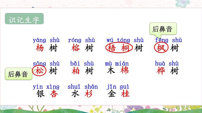 统编6年级语文上册 第二单元  2 树之歌 PPT课件+教案06