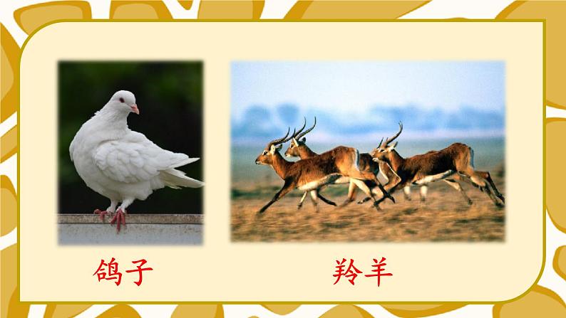 统编6年级语文上册 第八单元  语文园地八 PPT课件+教案05