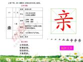 15 （生字教学课件）搭船的鸟