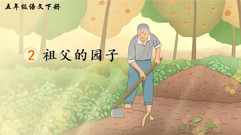 2《祖父的园子》课件PPT+生字课件+教案+音视频素材（含课文朗读）03